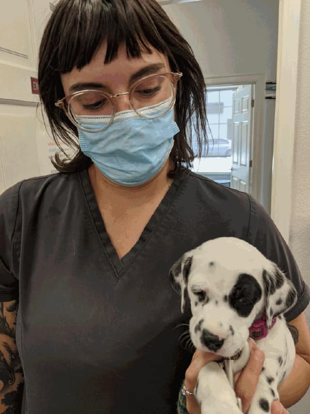 Find Pet Care Information and Veterinarians in Glendale, Colorado